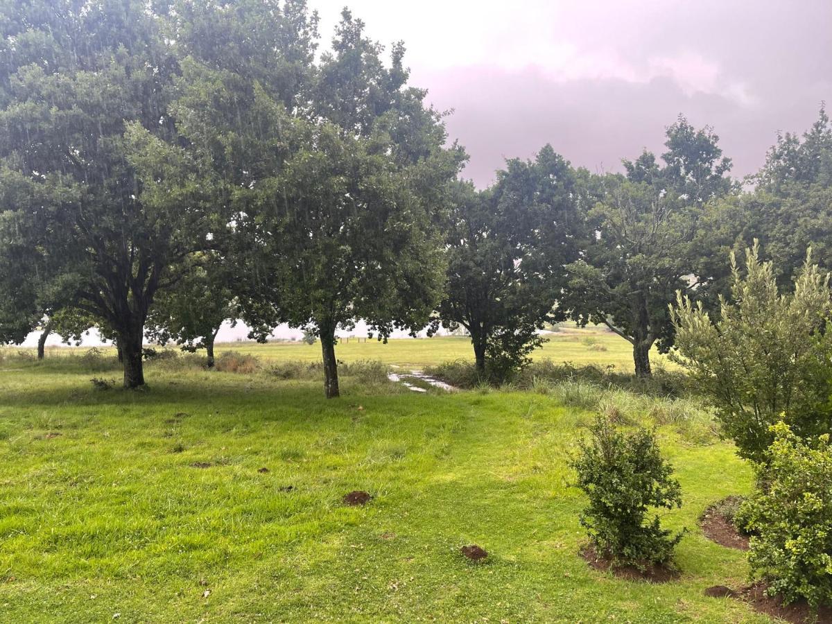 Walkersons Trout And Nature Haven Dullstroom Exterior foto