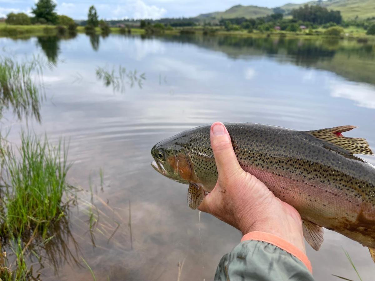 Walkersons Trout And Nature Haven Dullstroom Exterior foto